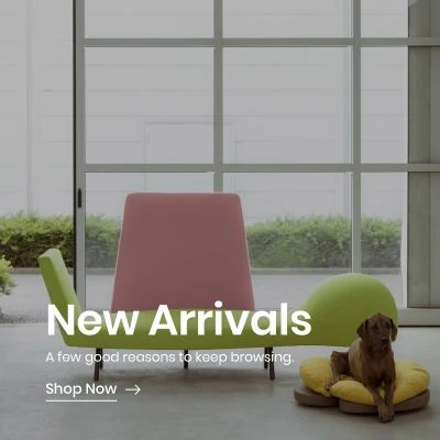 New Arrivals Banner