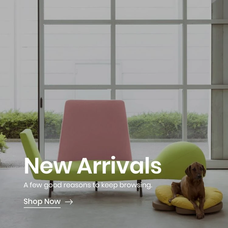 New Arrivals Banner