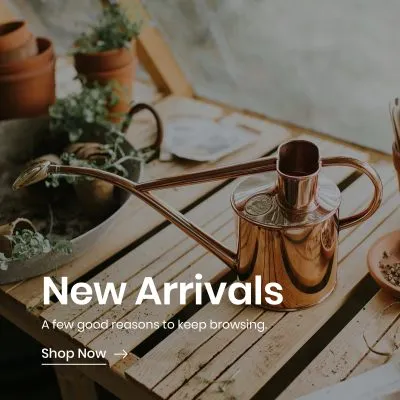 New Arrivals Banner