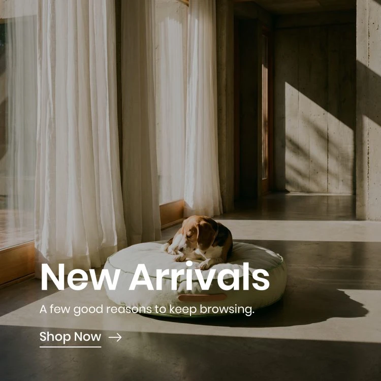 New Arrivals Banner