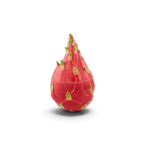 Tropical Fruits Pitaya Box