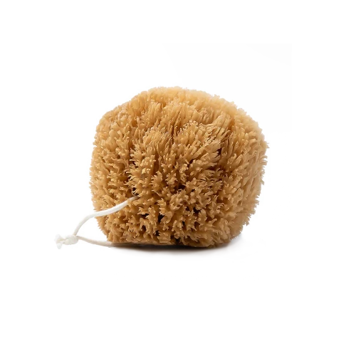 Natural Grass Sea Sponge