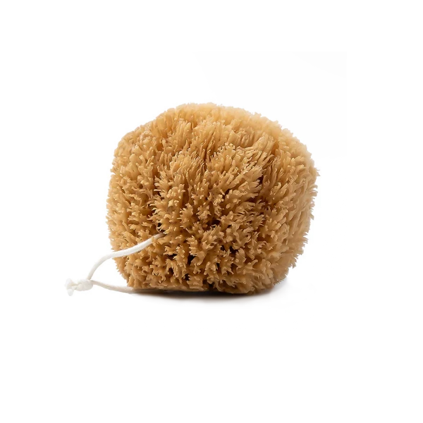 natural-grass-sea-sponge-1