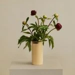 woud-flowr-ceramic-vase-gessato-18